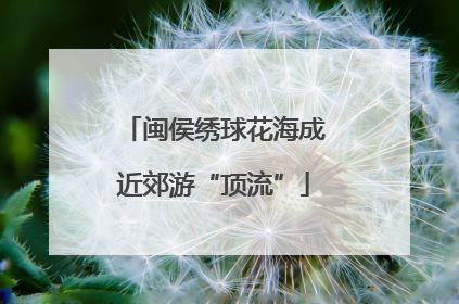 闽侯绣球花海成近郊游“顶流”