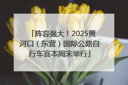 阵容强大！2025黄河口（东营）国际公路自行车赛本周末举行