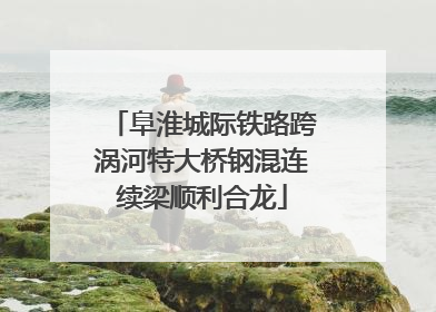 阜淮城际铁路跨涡河特大桥钢混连续梁顺利合龙
