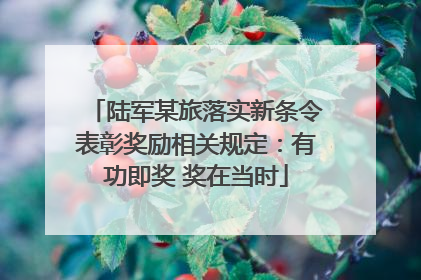 陆军某旅落实新条令表彰奖励相关规定：有功即奖 奖在当时