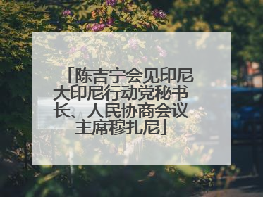 陈吉宁会见印尼大印尼行动党秘书长、人民协商会议主席穆扎尼