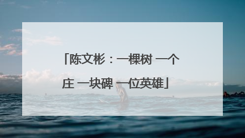 陈文彬：一棵树 一个庄 一块碑 一位英雄