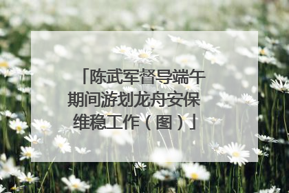 陈武军督导端午期间游划龙舟安保维稳工作（图）