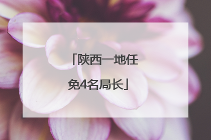 陕西一地任免4名局长