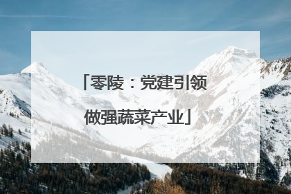 零陵：党建引领 做强蔬菜产业