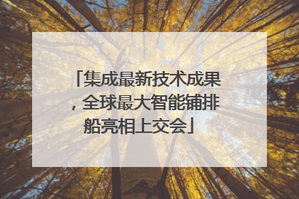 集成最新技术成果，全球最大智能铺排船亮相上交会