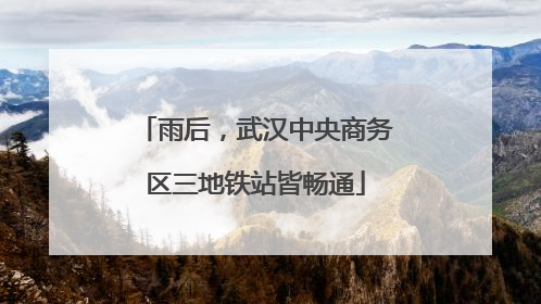 雨后，武汉中央商务区三地铁站皆畅通