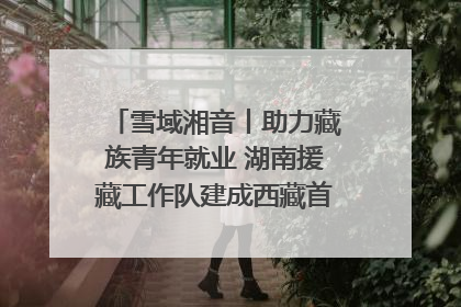 雪域湘音丨助力藏族青年就业 湖南援藏工作队建成西藏首个清洁能源装备园