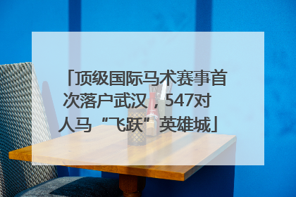 顶级国际马术赛事首次落户武汉，547对人马“飞跃”英雄城