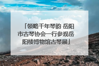 领略千年琴韵 岳阳市古琴协会一行参观岳阳楼博物馆古琴展