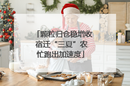 颗粒归仓稳增收 宿迁“三夏”农忙跑出加速度