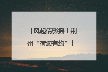 风起倩影摇！荆州“荷您有约”