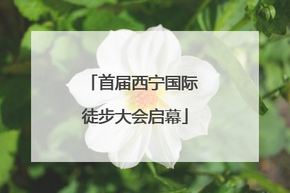 首届西宁国际徒步大会启幕