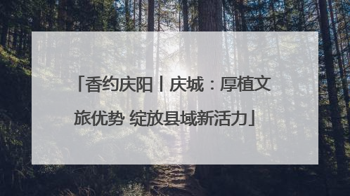 香约庆阳丨庆城：厚植文旅优势 绽放县域新活力