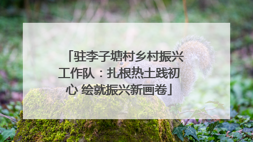 驻李子塘村乡村振兴工作队：扎根热土践初心 绘就振兴新画卷