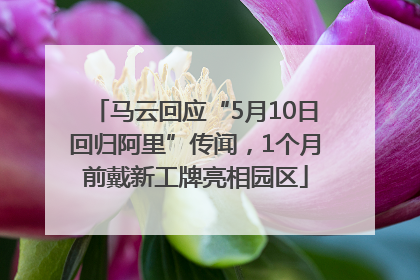 马云回应“5月10日回归阿里”传闻，1个月前戴新工牌亮相园区