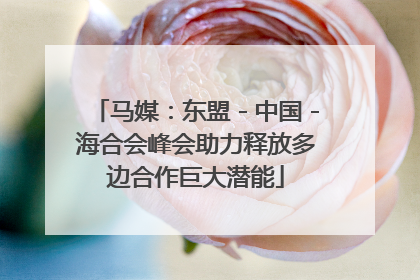 马媒：东盟－中国－海合会峰会助力释放多边合作巨大潜能