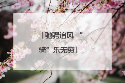驰骋追风 “骑”乐无穷