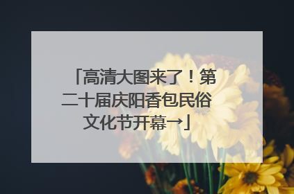 高清大图来了！第二十届庆阳香包民俗文化节开幕→