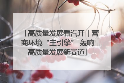 高质量发展看汽开｜营商环境“主引擎” 轰响高质量发展新赛道