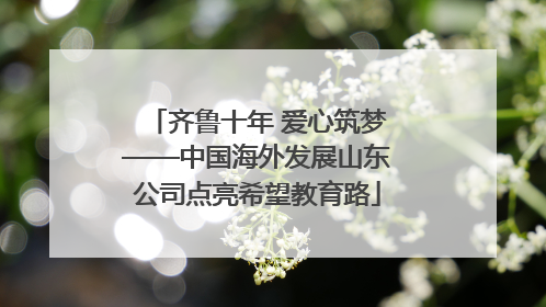 齐鲁十年 爱心筑梦——中国海外发展山东公司点亮希望教育路