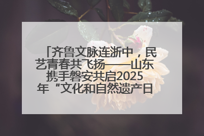 齐鲁文脉连浙中，民艺青春共飞扬——山东携手磐安共启2025年“文化和自然遗产日”系列活动