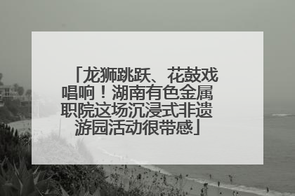 龙狮跳跃、花鼓戏唱响！湖南有色金属职院这场沉浸式非遗游园活动很带感