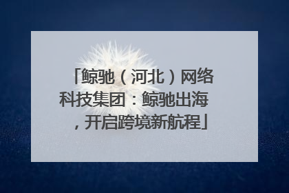 鲸驰（河北）网络科技集团：鲸驰出海，开启跨境新航程