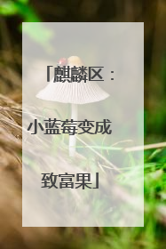 麒麟区：小蓝莓变成致富果