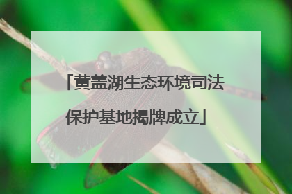 黄盖湖生态环境司法保护基地揭牌成立