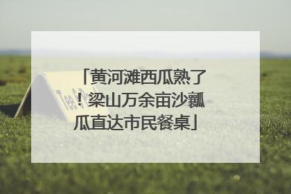 黄河滩西瓜熟了！梁山万余亩沙瓤瓜直达市民餐桌