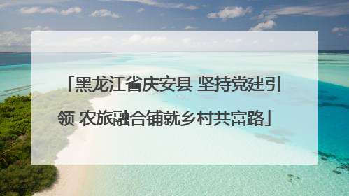 黑龙江省庆安县 坚持党建引领 农旅融合铺就乡村共富路