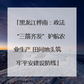 黑龙江桦南：政法“三箭齐发”护航农业生产 田间地头筑牢平安建设防线