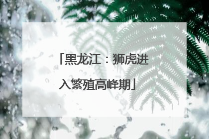 黑龙江：狮虎进入繁殖高峰期