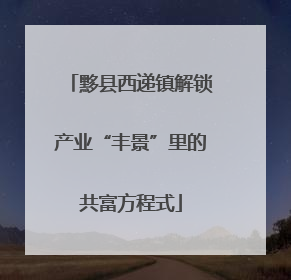 黟县西递镇解锁产业“丰景”里的共富方程式