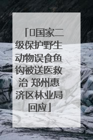 ﻿国家二级保护野生动物误食鱼钩被送医救治 郑州惠济区林业局回应