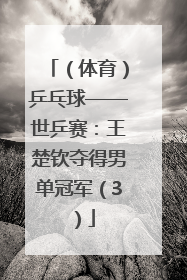 （体育）乒乓球——世乒赛：王楚钦夺得男单冠军（3）