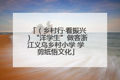 （乡村行·看振兴）“洋学生”做客浙江义乌乡村小学 学剪纸悟文化
