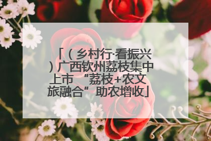 （乡村行·看振兴）广西钦州荔枝集中上市 “荔枝+农文旅融合”助农增收