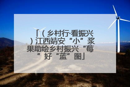 （乡村行·看振兴）江西靖安“小”浆果助绘乡村振兴“莓”好“蓝”图