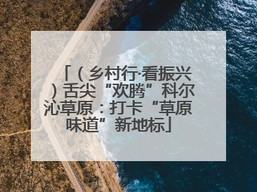 （乡村行·看振兴）舌尖“欢腾”科尔沁草原：打卡“草原味道”新地标