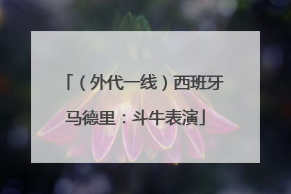 （外代一线）西班牙马德里：斗牛表演