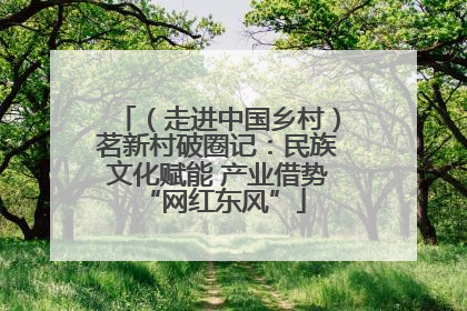 （走进中国乡村）茗新村破圈记：民族文化赋能 产业借势 “网红东风”