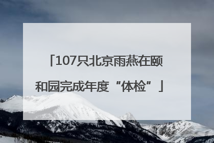 107只北京雨燕在颐和园完成年度“体检”