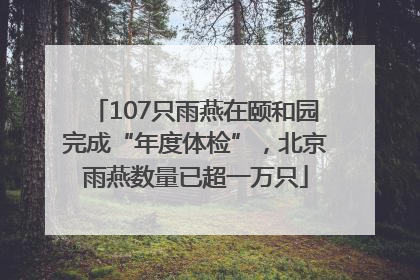 107只雨燕在颐和园完成“年度体检”，北京雨燕数量已超一万只