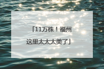 11万株！福州这里太太太美了