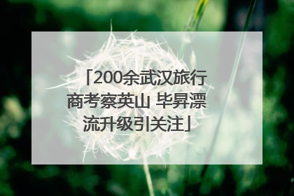 200余武汉旅行商考察英山 毕昇漂流升级引关注