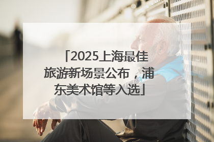 2025上海最佳旅游新场景公布，浦东美术馆等入选