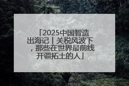 2025中国智造出海记丨关税风波下，那些在世界最前线开疆拓土的人