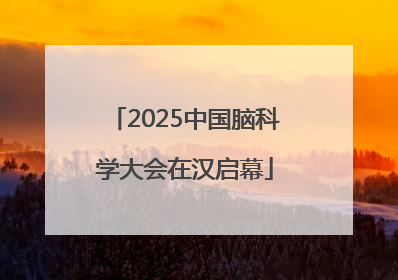 2025中国脑科学大会在汉启幕